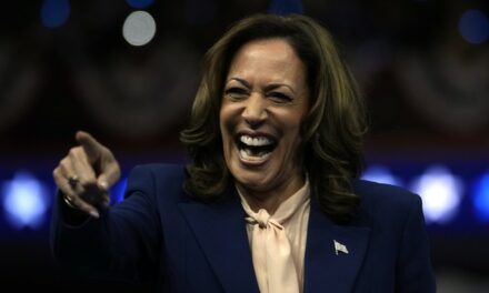 ‘Kamala Harris’ Silk Press Shines’: USA Today Reports on Candidate’s Hair