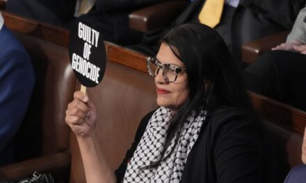 THUD: Mich. Dems Rushing to Rashida Tlaib’s Defense Against a Cartoon Trip Hard Over Reality