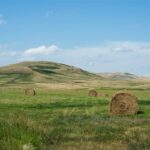 South Dakota Ranch Couple Faces Criminal Charges Over Long-Standing US Ag Dep. Grazing Allotment