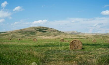 South Dakota Ranch Couple Faces Criminal Charges Over Long-Standing US Ag Dep. Grazing Allotment