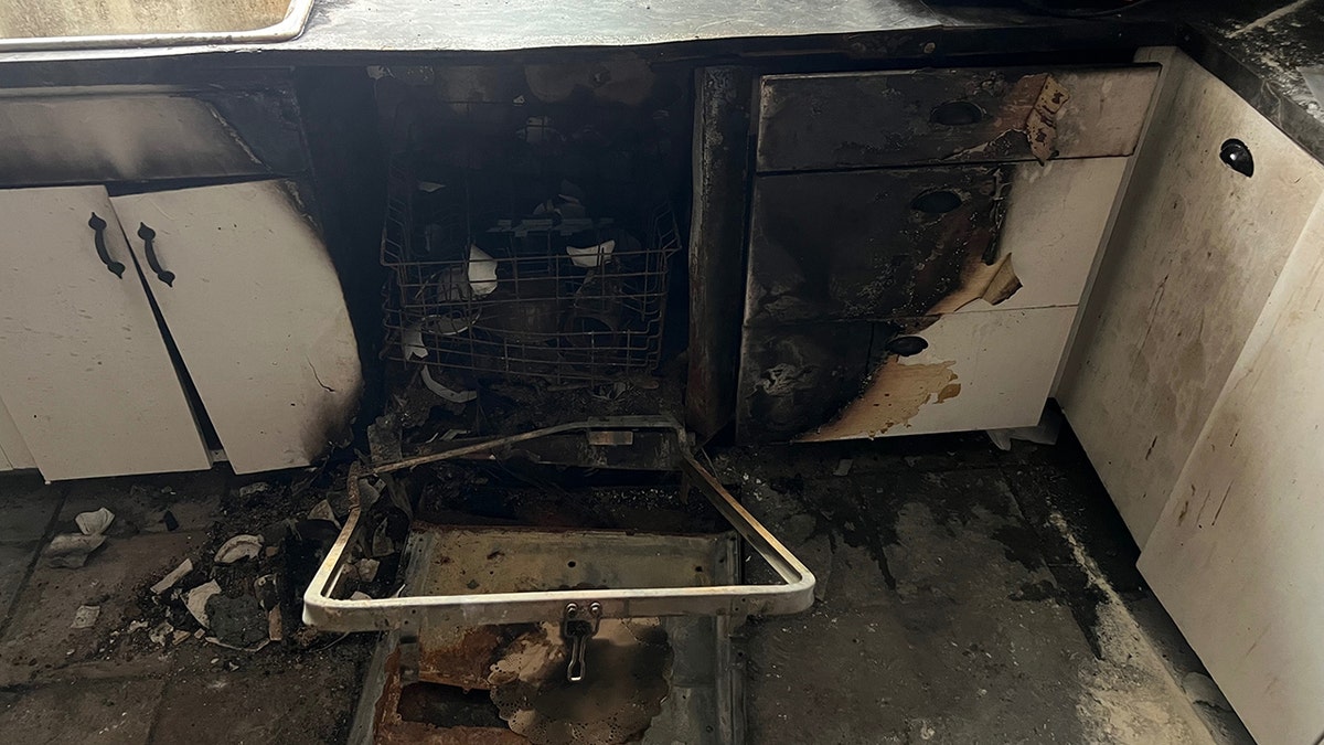 Burnt dishwasher