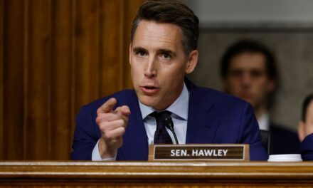 Disruptive left-wing activists have Uyghur ‘blood’ on their hands, Sen. Hawley says: ‘China-funded liars and racists’