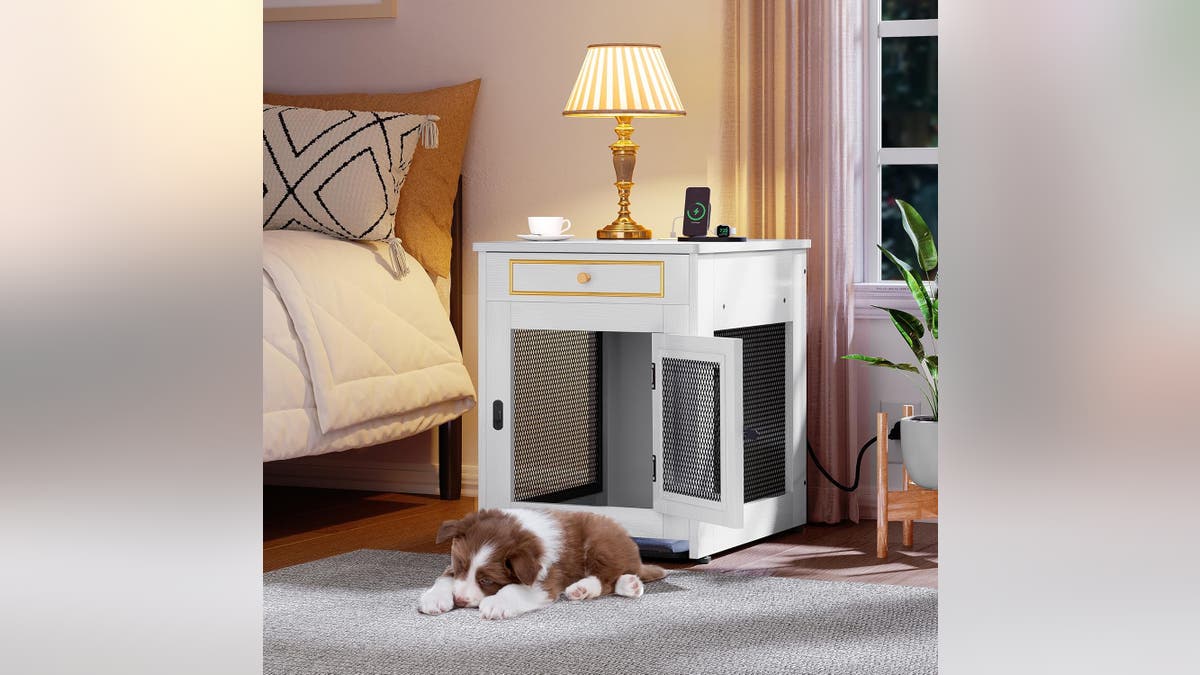 This dog crate fits with any home decor.