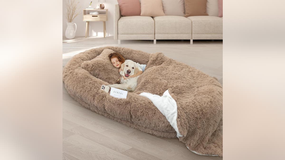 This dog bed is big enough for a human.