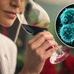 Drinking alcohol is linked to six types of cancer, experts say: ‘It’s toxic’