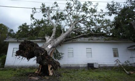 Florida Man vs. Hurricane Helene: The Gentleman’s Guide to the Golden Age of Storm Riding