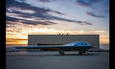 US Air Force’s New B-21 Reportedly Has the Radar Profile of an Insect