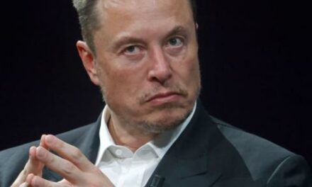 Elon Musk says Democrats are using illegal immigration to create ‘one-party state’