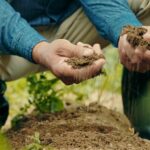 Irish farmer finds near 60-pound slab of ancient bog butter on his land by ‘pure luck’