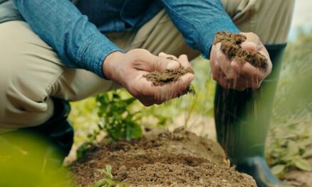 Irish farmer finds near 60-pound slab of ancient bog butter on his land by ‘pure luck’