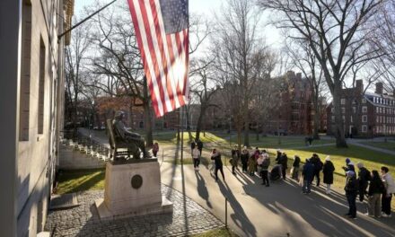 Harvard Finally Releases Enrollment Data, Results Less Dire Than Predicted