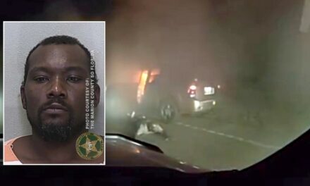 Florida suspect’s plan goes up in smoke when SUV becomes engulfed in flames