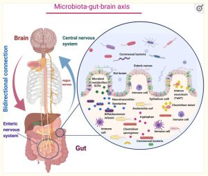 The CONNECTION between AUTISM and COVID JABS could boil down to destruction of good gut bacteria