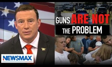 Guns don’t kill people, broken morals do: Carl Higbie