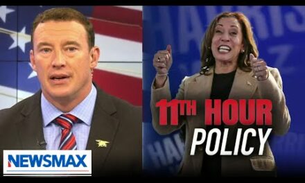 Carl Higbie: You can’t just waive a magic wand to make cancer treatments free