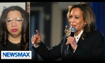 We still don’t know what Kamala Harris stands for: Democratic strategist | Wake Up America