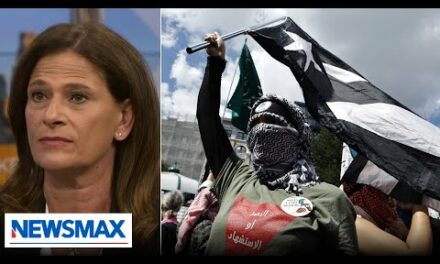 These are anti-Israel, anti-American protests: Michal Cotler-Wunsh | Wake Up America