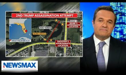 ‘Shocks me but it doesn’t surprise me’: Greg Kelly on second attempt to assassinate Trump