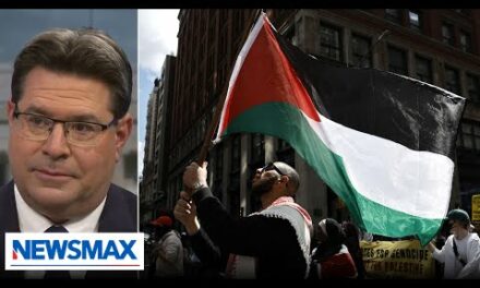 Protesters using American democracy to destroy the country: Ofir Akunis | National Report