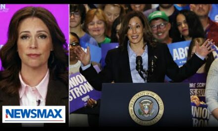 Kamala Harris using same ’embarrassing’ tactic as Hillary Clinton: Tudor Dixon | National Report