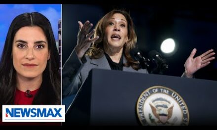 All Kamala Harris has to offer is word salad: Danielle Alvarez | Wake Up America