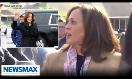 Kamala Harris is doing a ‘check-the-box’ exercise by going to border | American Agenda