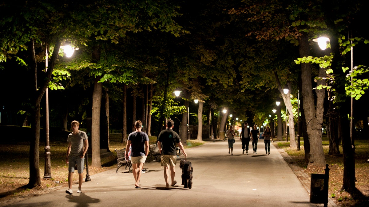 walking in the park at night