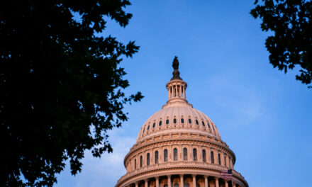 Senate Homeland Security Committee Holds Hearing to Examine Conflicts of Interest in Federal Contracting