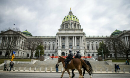 Federal Appeals Court to Decide Public Disclosure Limits in Noncitizen Election Law Case