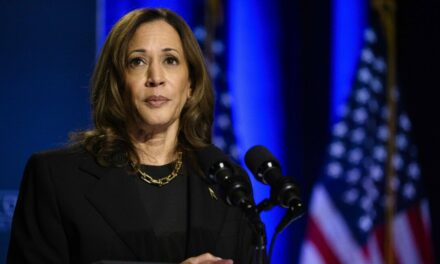 5 Takeaways From Harris’s MSNBC Interview