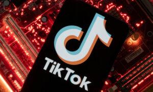 Facing Pressure to Sell, TikTok Compares Company to Politico, Business Insider in New Filing