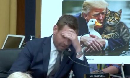 Watch: Eric Swalwell Melts Down, Has EPIC Tantrum Over Trump, Cat Memes