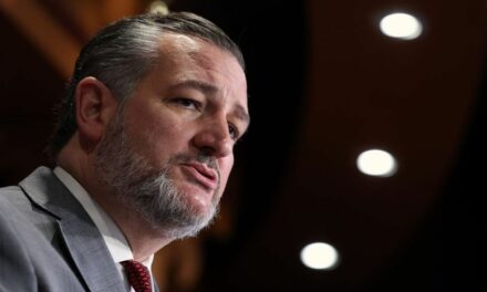 ‘Fraud, failure, and illegality’: Cruz, other senators demand end to ‘flawed’ immigration program under Biden-Harris