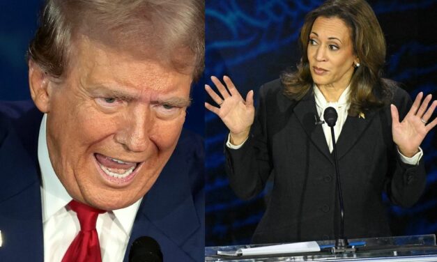 Liberals are outraged at three words Trump uttered at the debate with Harris