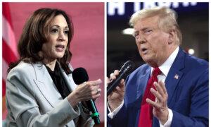 Harris Leads Trump by More Than $120 Million in Cash on Hand