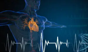 Heart Failure Mortality Rates Surge to Highest Levels in 20 Years