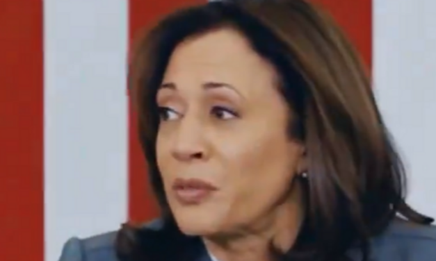 “A slap in the face:” Border Union WRECKS Kamala Harris’s cheap PR stunt on the border