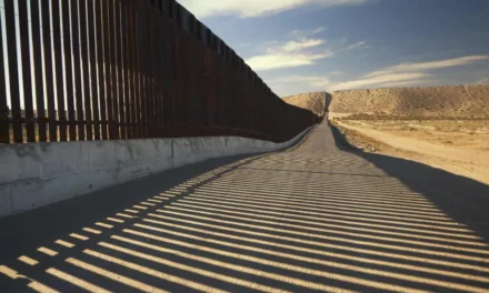 Democratic witness for hearing says racism is behind calls to secure the southern border