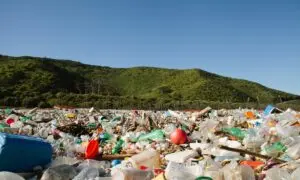 Biden Allocates $310 Million for Border Sewage Cleanup at Tijuana River