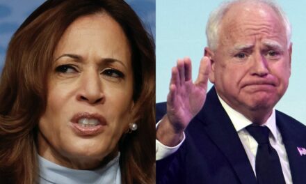 Democrat admits in leaked video that Kamala Harris is in big trouble in Michigan: ‘We have her under water in polling’