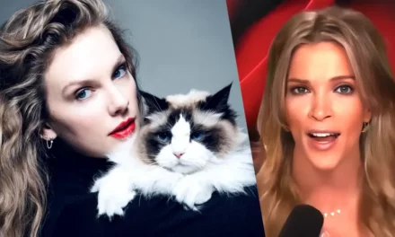 Megyn Kelly absolutely OBLITERATES Taylor Swift: ‘The epitome of elite snobs’