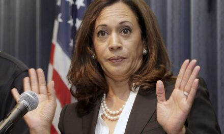 Kamala’s brother-in-law fleeced BILLIONS from U.S. taxpayers to funnel into left-wing groups, lawyers