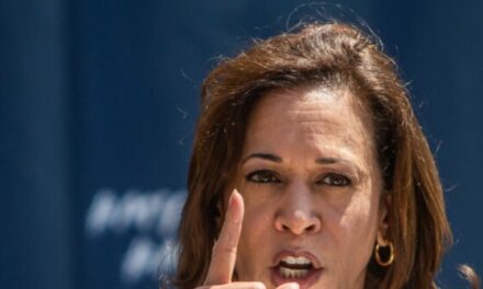 Nolte: More Video Surfaces of Kamala Harris Promising to Ban Fracking