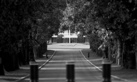 Video Shows Major Damage To Augusta National’s Magnolia Lane Caused By Hurricane Helene