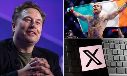 Ireland scraps controversial hate speech measures following criticism by Elon Musk, Conor McGregor