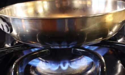 Newsom fries bill requiring tobacco-style warning labels on gas stoves