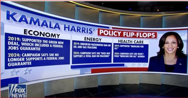 Kamala Harris gallery of flip flops