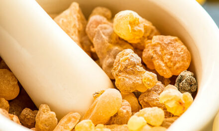 Sermon 51: Mike Adams discusses the many benefits of the sacred resin known as FRANKINCENSE