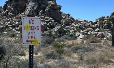 American national parks vandalized, ruined by visitors, could take centuries to remedy: report