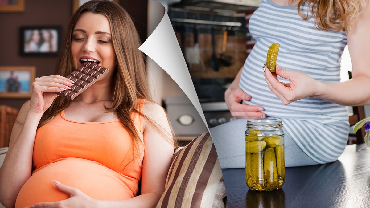 Pregnant woman eating chocolate and a pregnant woman eating pickles out of the jar